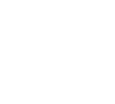FINAL SALE